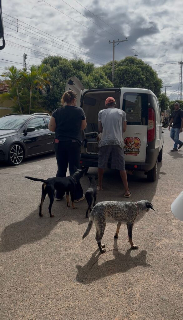 CASTRAÇÃO E MICROCHIPAGEM