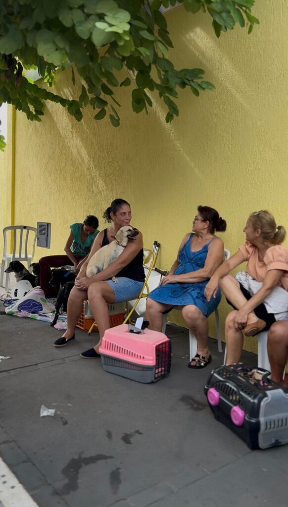 CASTRAÇÃO E MICROCHIPAGEM