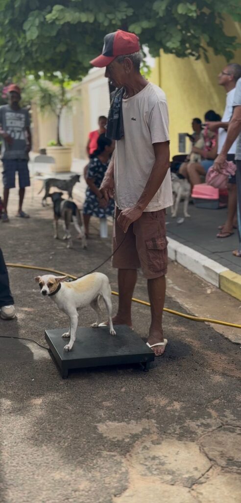 CASTRAÇÃO E MICROCHIPAGEM