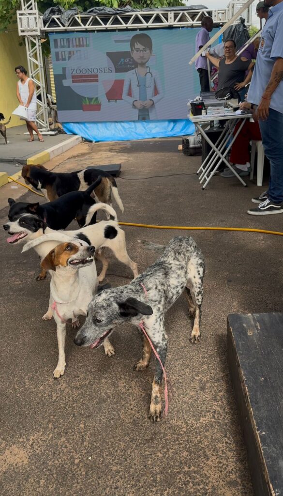CASTRAÇÃO E MICROCHIPAGEM