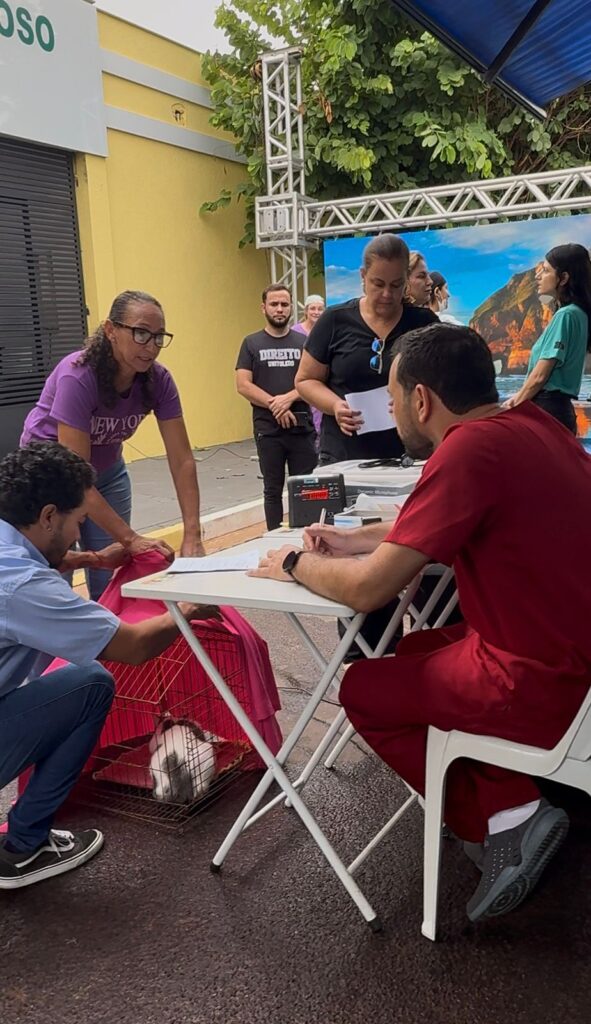 CASTRAÇÃO E MICROCHIPAGEM