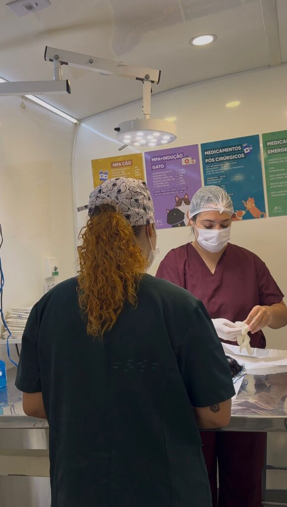 CASTRAÇÃO E MICROCHIPAGEM