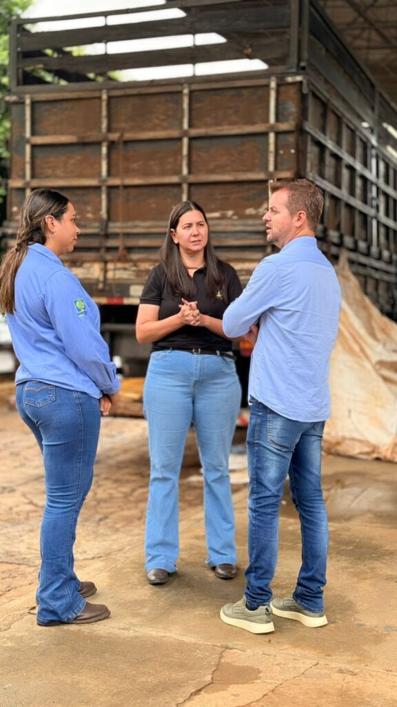 PROJETO CAMPO LIMPO 2026