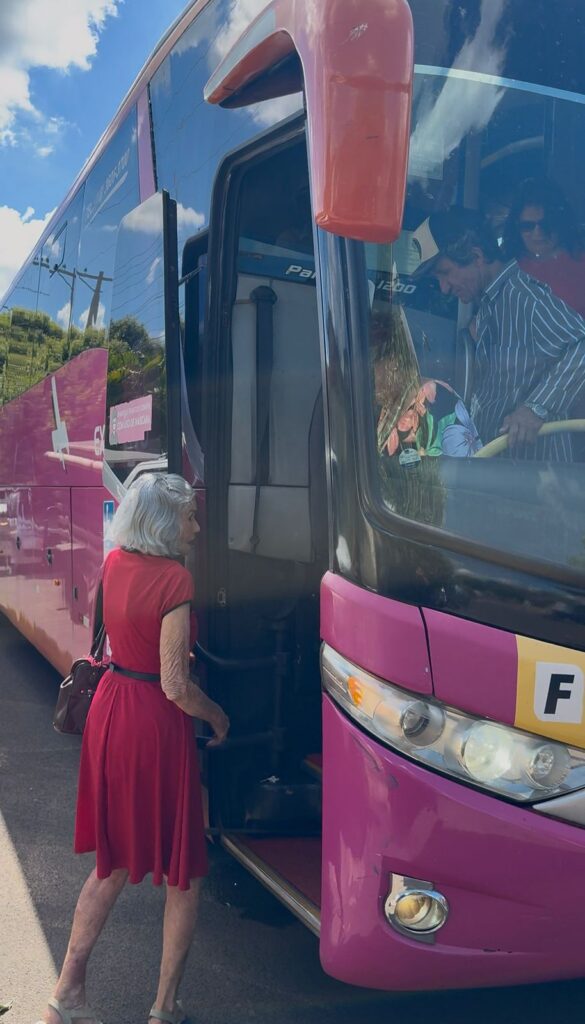 BAILE REGIONAL DA MELHOR IDADE