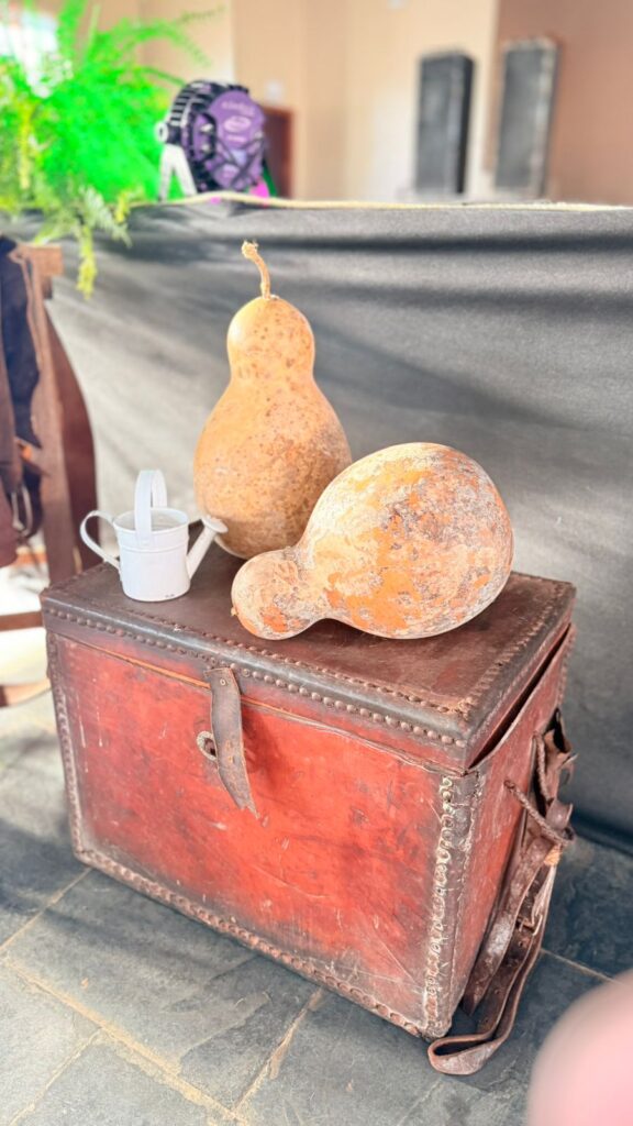 ESCOLHA DA RAINHA DA 16º FESTA DO PEÃO