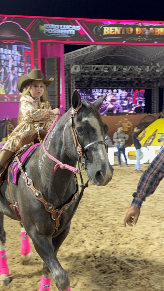 16º FESTA DO PEÃO DE BENTO DE ABREU (FOTOS)